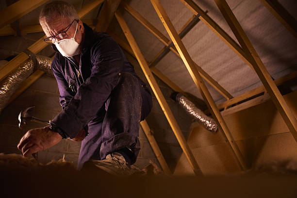 Best Geographic-Specific Insulation Services in North Vernon, IN