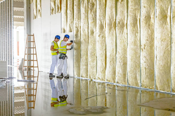 Best Cellulose Insulation in North Vernon, IN